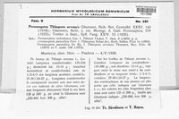 Image Associated With the Occurence